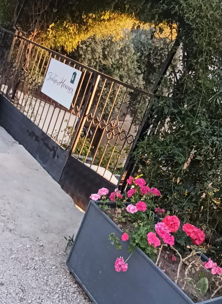 MVIMG_20260521_193341